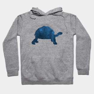 Tortoise Hoodie